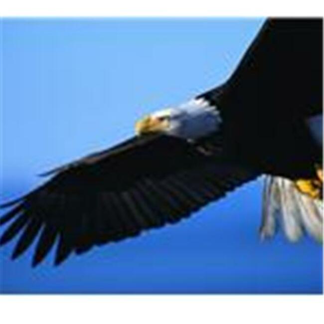Trouble Don't Last Always: What' s Your Story? Eleder Dr. John E. Clay Jr., OH.