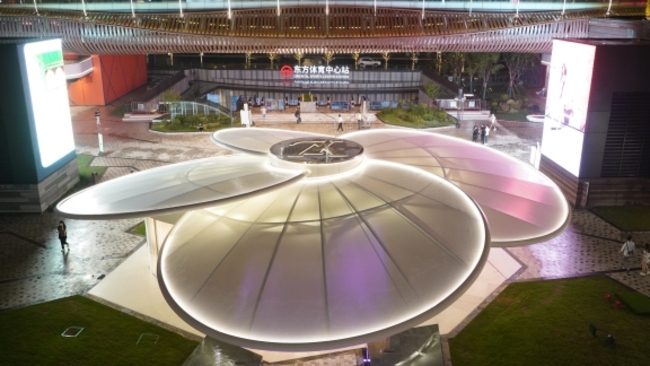 Shanghai's Pudong releases plan to build int'l consumption center
