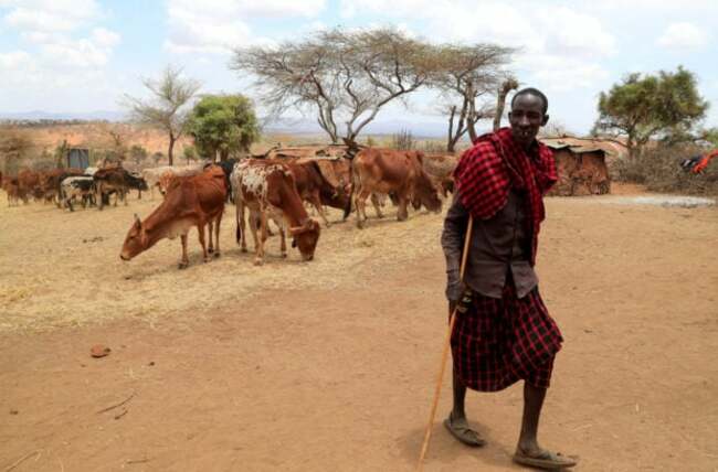 Horn of Africa drought not possible without climate change–study