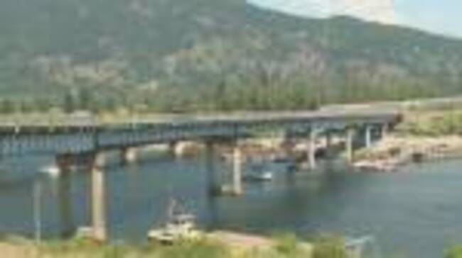 Police investigating after dog found dead in Shuswap Lake
