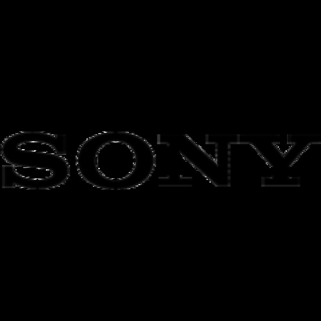 Ninety One SA PTY Ltd Buys Shares of 5,989 Sony Group Co. (NYSE:SONY)