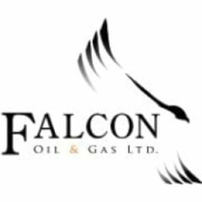 Falcon Oil & Gas (CVE:FO) Sets New 12-Month High at $0.21