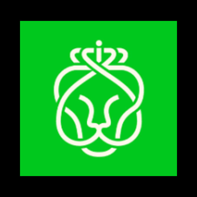 Financial Contrast: Koninklijke Ahold Delhaize (AHODF) & Its Peers
