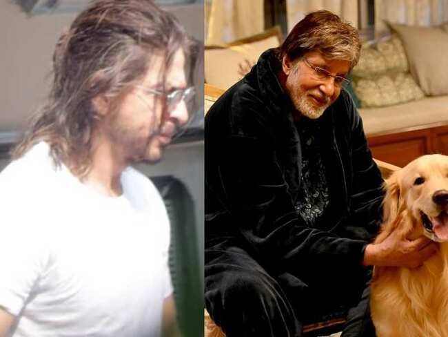 Shah Rukh Khan, Amitabh Bachchan, Alia Bhatt: Celebs who have resumed work on big-budget films