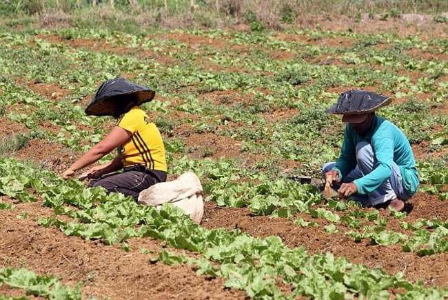 Heat starts draining M. Cebu water sources: Measures in place but farmers feel ‘hot pinch'