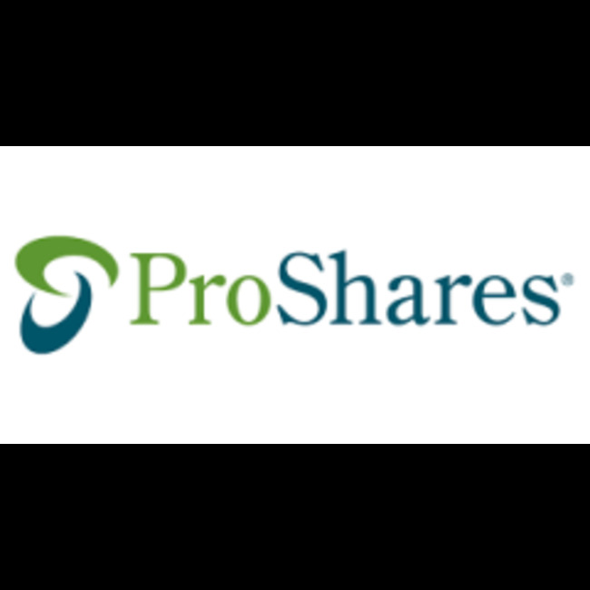 67,823 Shares in ProShares Short High Yield (NYSEARCA:SJB) Purchased by Philadelphia Trust Co.