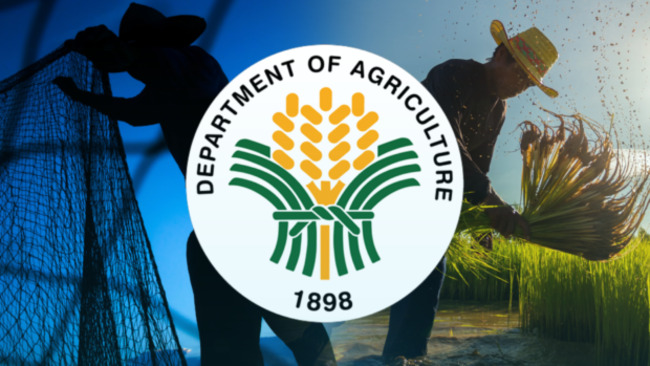 Cheap feed ingredient facilities to rise in PH by Q4