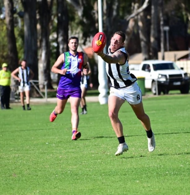 Kangas tame cold Pies