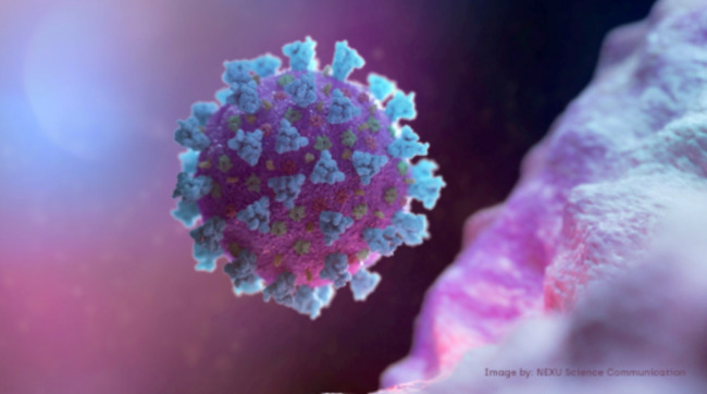 Rama urges constituents to get jab amid rise in COVID-19 infections