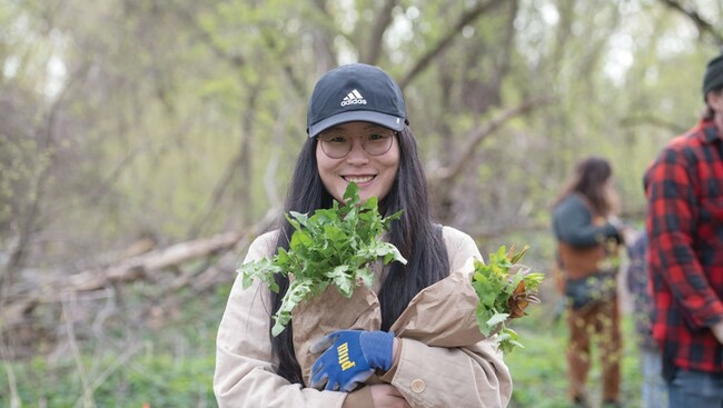 Spring Foraging in Burlington's Intervale Beyond Ramps and Fiddleheads