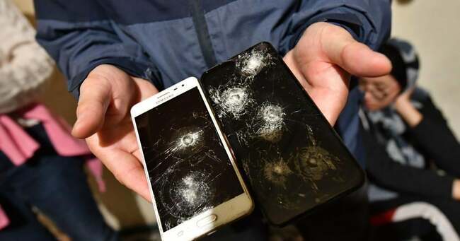 'Like We Were Just Animals'