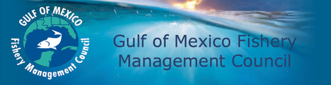 NOAA Fisheries Announces Temporary Rule to Implement Interim Measures to Reduce Overfishing of Gag in the Gulf of Mexico