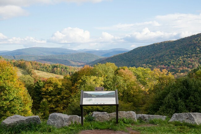 Top 5 Outdoor Activities to Enjoy in Delaware County This Summer