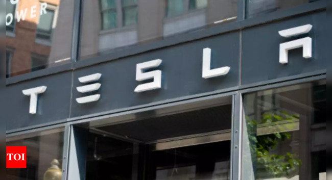 Tesla lobbies India for sharply lower import taxes on electric vehicles