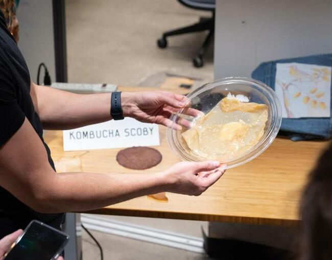 Kombucha chic: How one student uses microbes, and time, to grow her own clothes