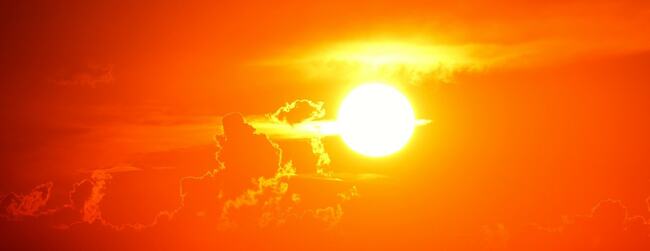 Sub-tropical forays keep winter at bay