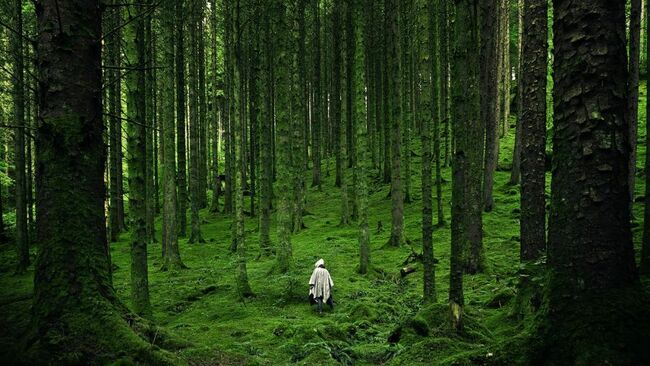 16 Beautiful Foreign Words For Human Emotions You Couldn't Explain