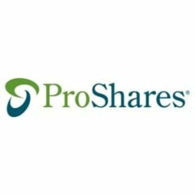 ProShares Smart Materials ETF (NYSEARCA:TINT) Trading Up 0.2%
