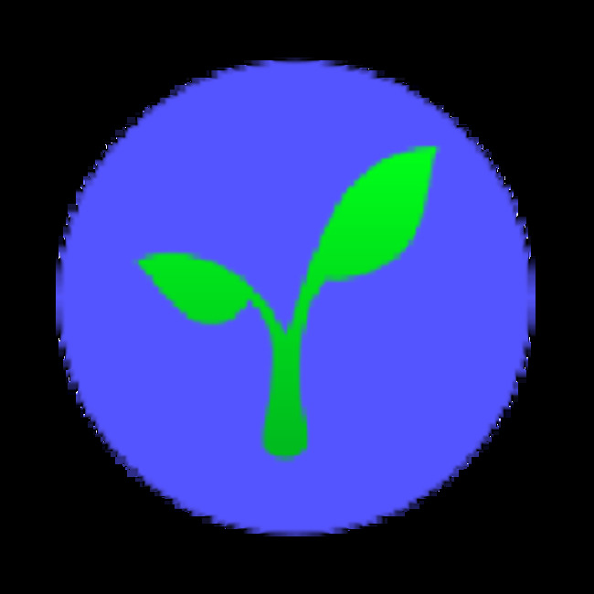 Radicle Price Tops $3.50 (RAD)