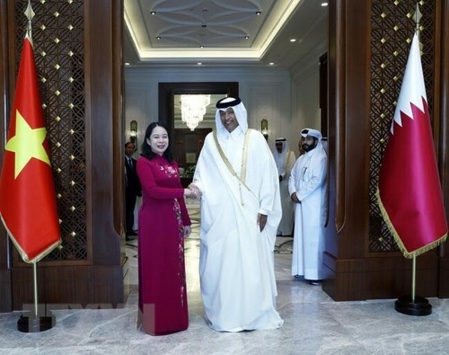 Vietnam aims to enhance comprehensive cooperation with Qatar ​