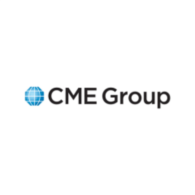 Raymond James Financial Services Advisors Inc. Raises Stock Holdings in CME Group Inc. (NASDAQ:CME)