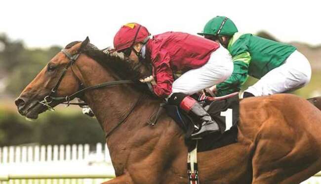Qatar Racing’s Buckaroo gets off the mark at Galway