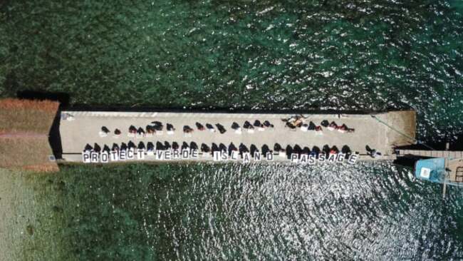 Prohibit large vessels from passing Verde Island Passage — science advocates