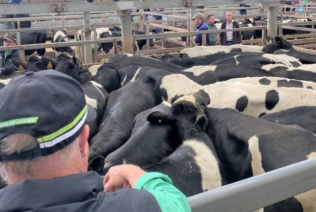 Budget: The good, the bad and the ugly for farmers