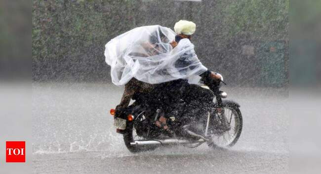 Monsoon to be 'normal' in August and September, sowing operations to pick up and bridge the acreage gap