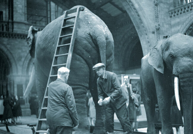 Lifelong loans: traditional degrees ‘elephant in the room' in debate