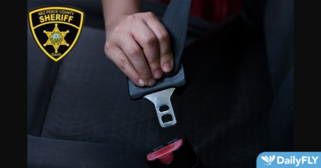 Seat Belt Mobilization