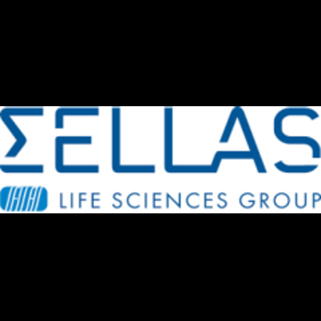 Solaris Resources (TSE:SLS) Stock Price Down 0.3%