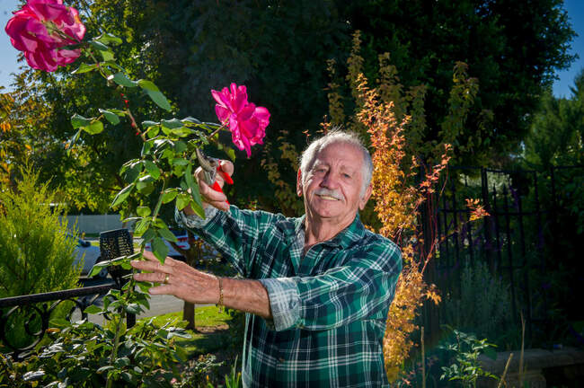 Mother's Day flower show a growing event