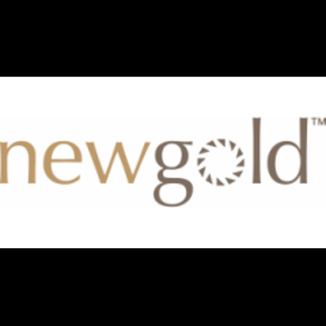 New Gold (NYSE:NGD) Shares Gap Down to $1.40