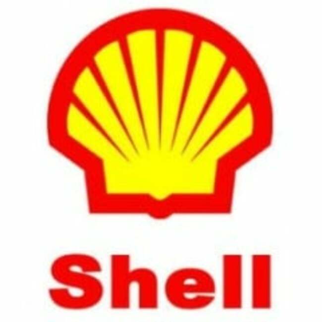 Dorsey & Whitney Trust CO LLC Grows Position in Shell plc (NYSE:SHEL)