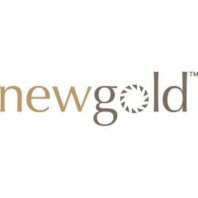 New Gold (NYSEAMERICAN:NGD) Stock Price Down 7.6%