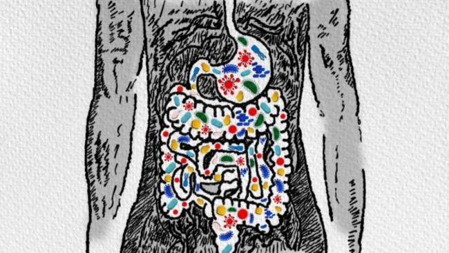 Clinical research into autism flushed with success