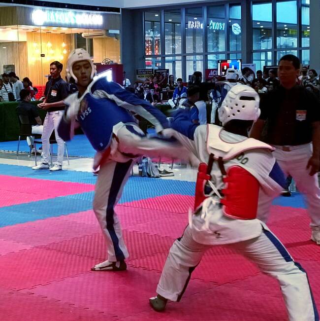 PTA's Central Visayas competition attracts 730 taekwondo jins