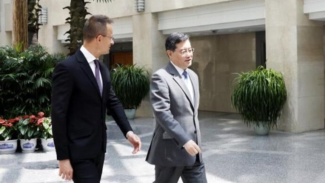 Chinese Foreign Minister meets Hungarian counterpart