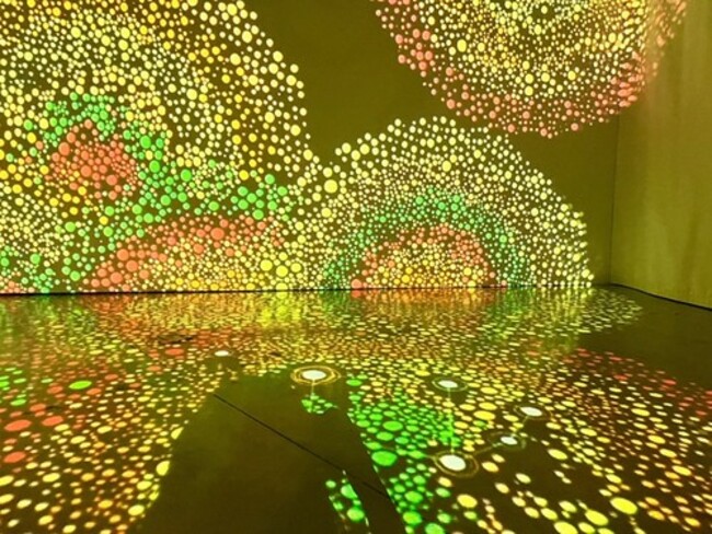 Culture and arts connect Vietnam and Australia