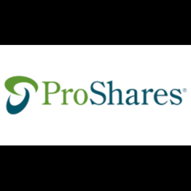 Game Plan Financial Advisors LLC Grows Stock Holdings in ProShares UltraPro Short Russell2000 (NYSEARCA:SRTY)