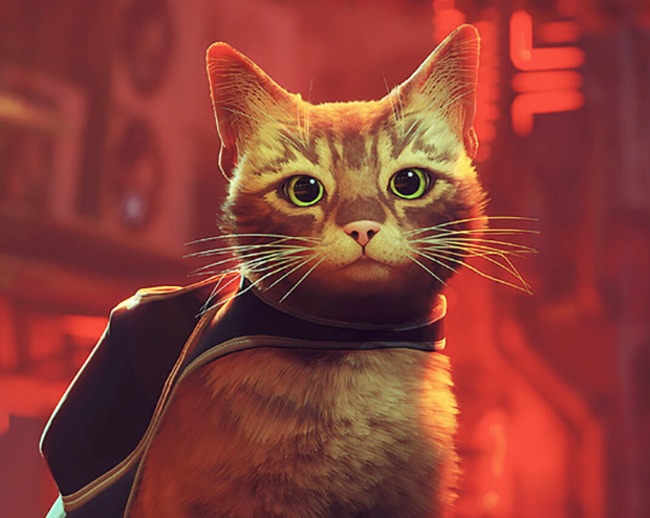 ESRB removes the Xbox Stray page