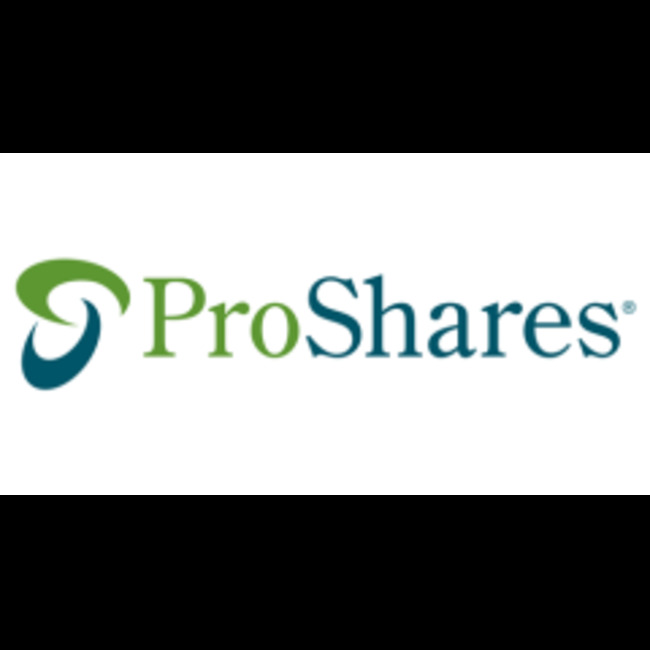 41,197 Shares in ProShares UltraPro Dow30 (NYSEARCA:UDOW) Bought by Crosspoint Capital Strategies LLC