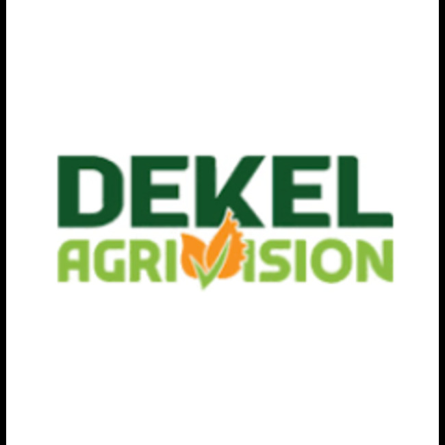 Dekel Agri-Vision (LON:DKL) Shares Pass Above 50-Day Moving Average of $2.64