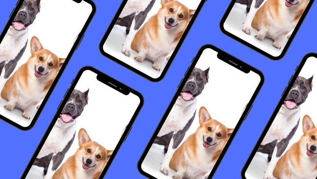 Newsroom daily quiz, Friday 19 May