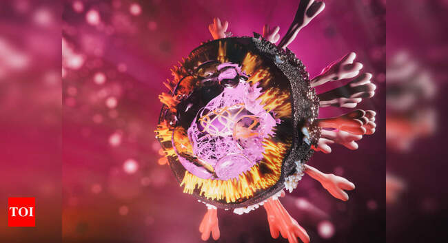 Marburg virus outbreak: All you need to know about the Ebola-like disease