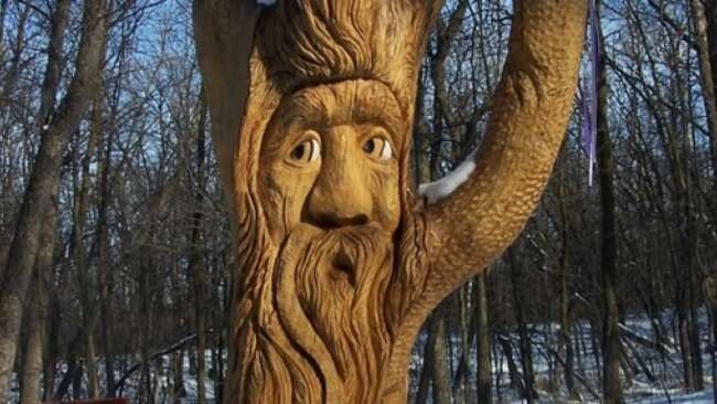 'A lighthouse to the forest': Well-known tree spirit in Winnipeg no longer standing