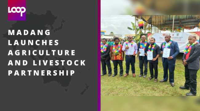 Madang launches Agriculture and Livestock partnership