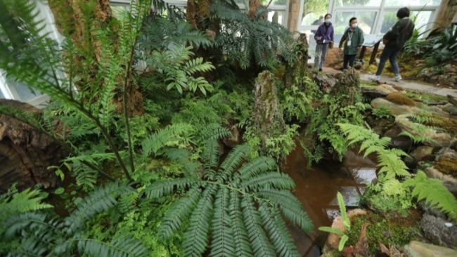 United global efforts needed to implement Kunming-Montreal Framework, says UN biodiversity official
