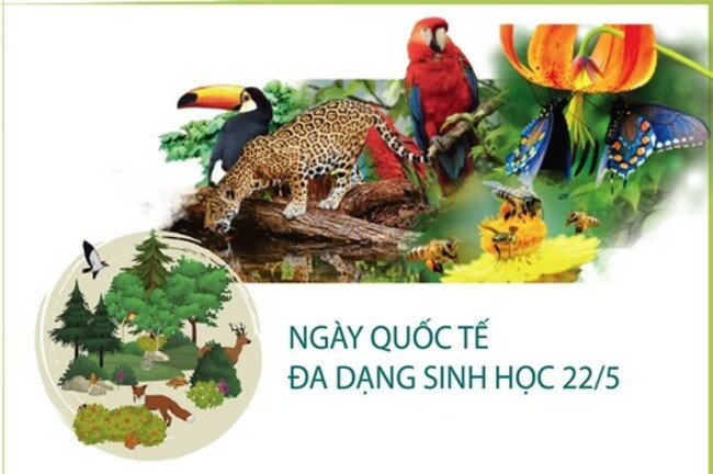 Vietnam sustainably conserves and exploits biodiversity
